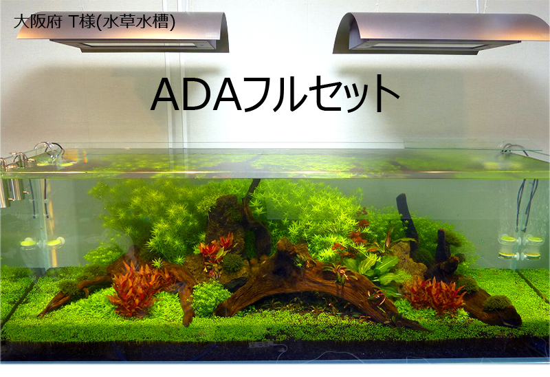 大阪府 T様 Petballoon Aquarium